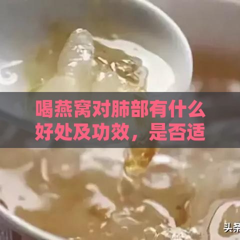 喝燕窝对肺部有什么好处及功效，是否适宜与坏处分析