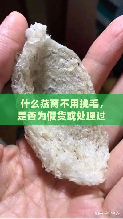 什么燕窝不用挑毛，是否为假货或处理过，其品质与外观优劣如何？