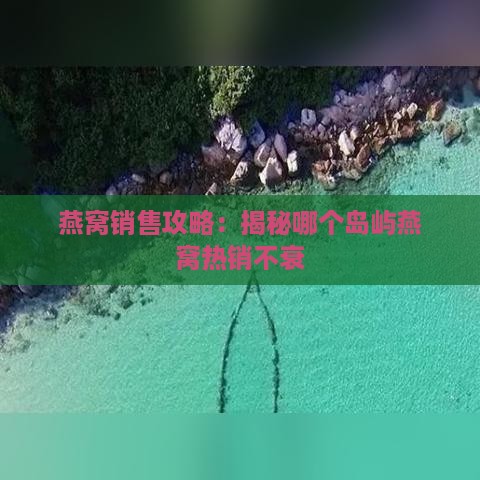 燕窝销售攻略：揭秘哪个岛屿燕窝热销不衰