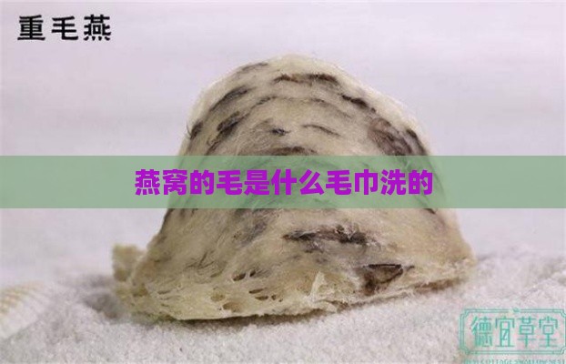 燕窝的毛是什么毛巾洗的