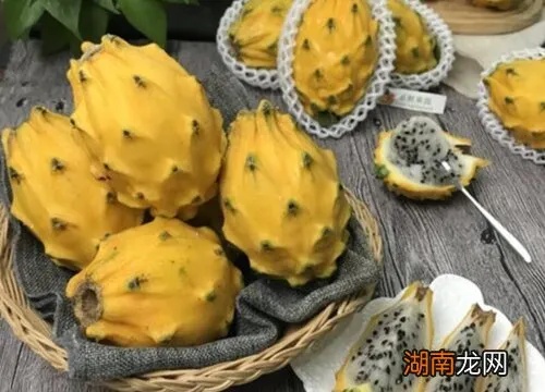 燕窝果种植难度及全过程指南：种植技巧、土壤选择与病虫害防治