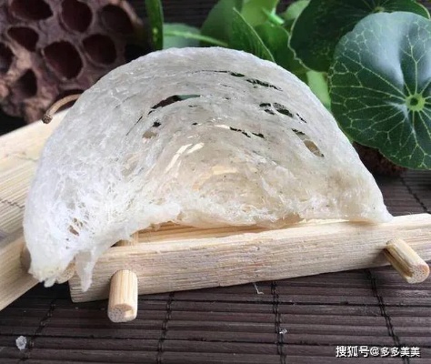 燕窝是动物吗：它是动物制品还是植物蛋白？为何如此疑惑？