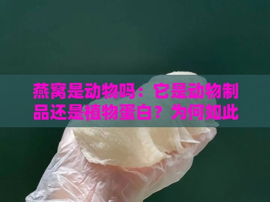 燕窝是动物吗：它是动物制品还是植物蛋白？为何如此疑惑？