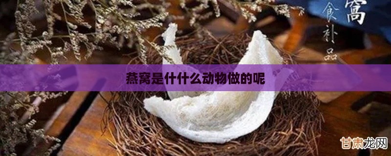 燕窝是什什么动物做的呢