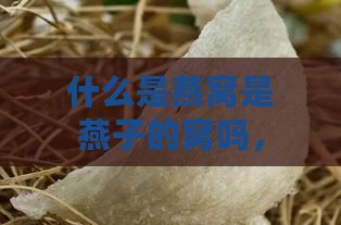 什么是燕窝是燕子的窝吗，燕窝是哪种燕子的巢及其食用价值解析