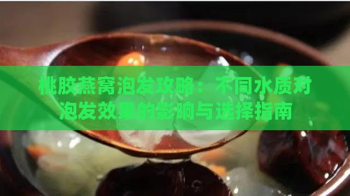 桃胶燕窝泡发攻略：不同水质对泡发效果的影响与选择指南