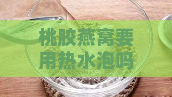 桃胶燕窝要用热水泡吗？泡多久才适合炖煮及选水指南