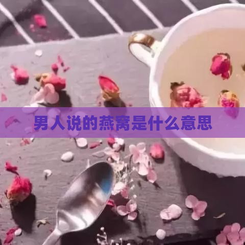 男人说的燕窝是什么意思