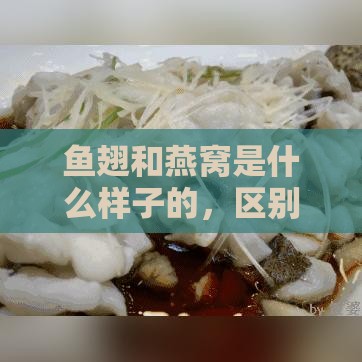 鱼翅和燕窝是什么样子的，区别及价格对比