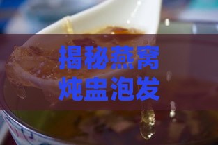 揭秘燕窝炖盅泡发技巧：深入了解其独特功能与优势