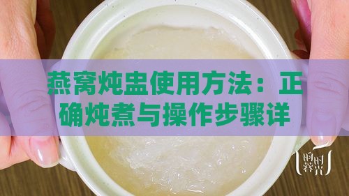 燕窝炖盅使用方法：正确炖煮与操作步骤详解