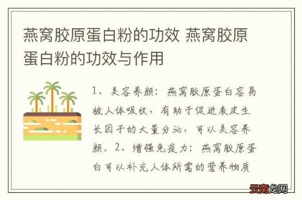 探究燕窝蛋白质的多种功效与潜在健康益处