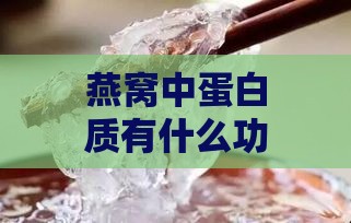 燕窝中蛋白质有什么功效及其含量与作用解析