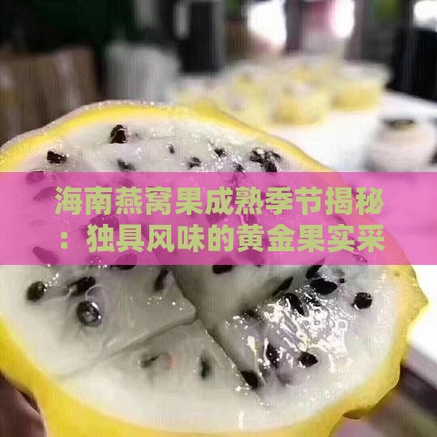 海南燕窝果成熟季节揭秘：独具风味的黄金果实采摘期探究