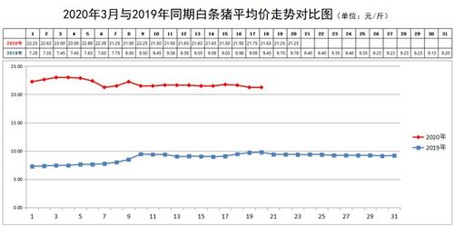 海南燕窝果价格多少一斤，市场售价及行情分析