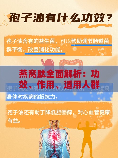 燕窝肽全面解析：功效、作用、适用人群、食用方法及注意事项指南