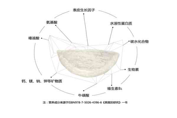 燕窝与狗窝的全方位对比：成分、用途、营养价值及文化意义解析