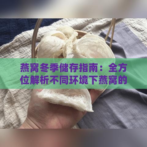 燕窝冬季储存指南：全方位解析不同环境下燕窝的正确存放方法