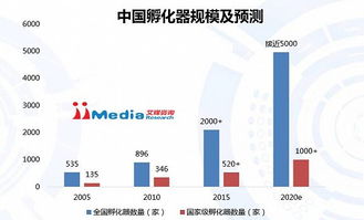 探究越南燕窝：外形特征、品质优势及市场影响力解析