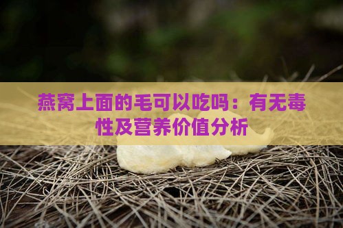 燕窝上面的毛可以吃吗：有无性及营养价值分析