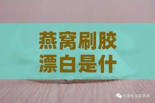 燕窝刷胶漂白是什么样子