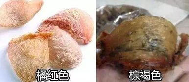 燕窝刷胶漂白是什么样子