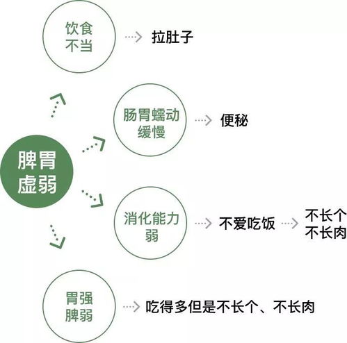 燕窝更佳吸收时段：揭秘黄金时段提升营养吸收效率