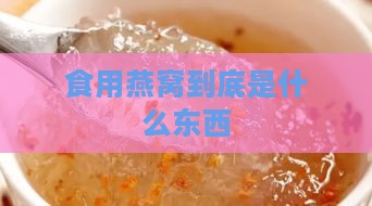 食用燕窝到底是什么东西