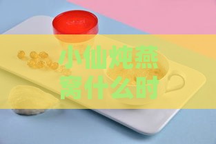 小仙炖燕窝什么时候发布