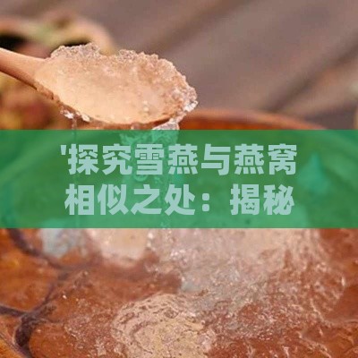 '探究雪燕与燕窝相似之处：揭秘两者的天然滋补奥秘'