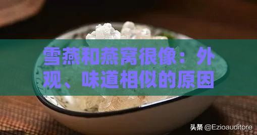 雪燕和燕窝很像：外观、味道相似的原因及区别探究