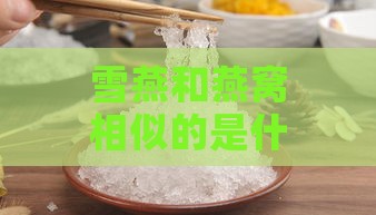 雪燕和燕窝相似的是什么