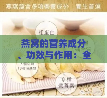 燕窝的营养成分、功效与作用：全方位解析燕窝的好处与食用指南