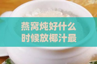 燕窝炖好什么时候放椰汁更佳时机及选择椰汁椰浆的方法