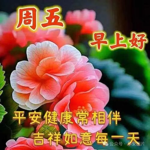 承载深情：精选燕窝祝福语，传递美好祝愿