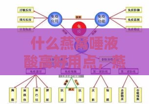 什么燕窝唾液酸高好用点，燕窝及其部位唾液酸含量与作用对比分析