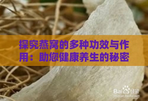 探究燕窝的多种功效与作用：助您健康养生的秘密武器