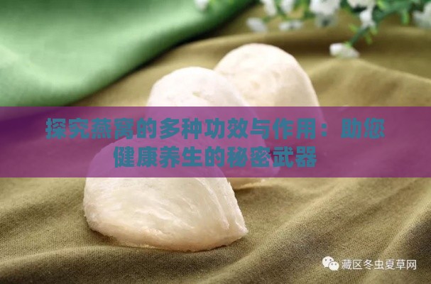 探究燕窝的多种功效与作用：助您健康养生的秘密武器