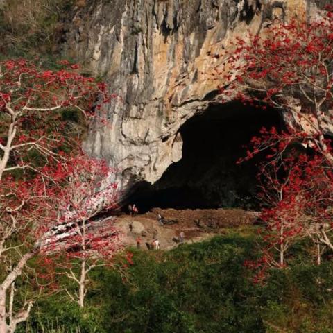 昌江七星燕窝岭能上去吗：海南游玩攻略及森林公园详细介绍