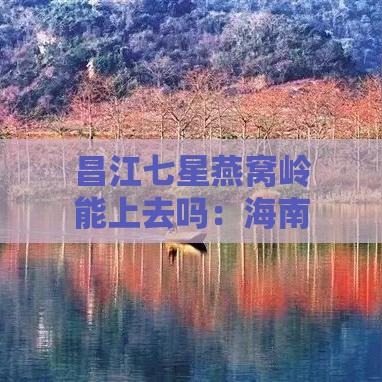 昌江七星燕窝岭能上去吗：海南游玩攻略及森林公园详细介绍