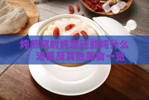 炖燕窝的炖盅还能炖什么：汤菜及其他美食一览