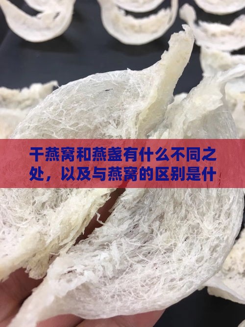 干燕窝和燕盏有什么不同之处，以及与燕窝的区别是什么