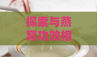 探索与燕窝功效相似的食物：全面盘点营养价值与功效