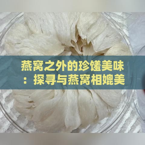 燕窝之外的珍馐美味：探寻与燕窝相媲美的滋养佳品