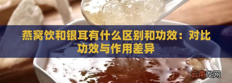 燕窝饮和银耳有什么区别和功效：对比功效与作用差异