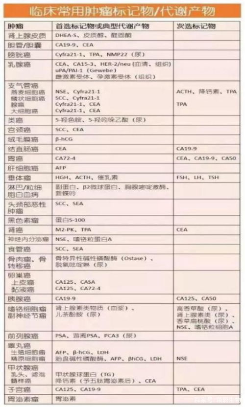 深入了解燕窝酸：全面解析其对人体的益处与潜在功效