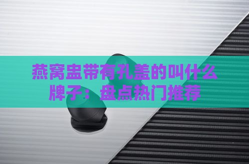 燕窝盅带有孔盖的叫什么牌子：盘点热门推荐