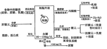 燕窝里的营养物质及其含量与种类解析