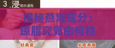 揭秘燕窝成分：琼脂究竟由何物质制成？