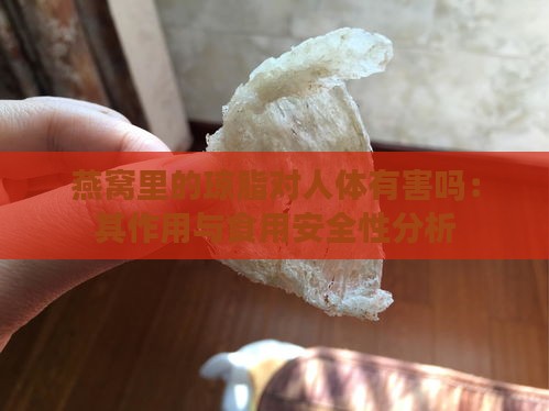 燕窝里的琼脂对人体有害吗：其作用与食用安全性分析